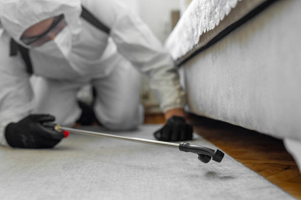 Professional Cockroach Control technician working in Buckley, WA
