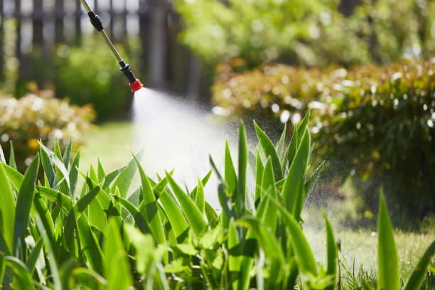 24/7 Emergency Cockroach Control experts in Buckley, WA