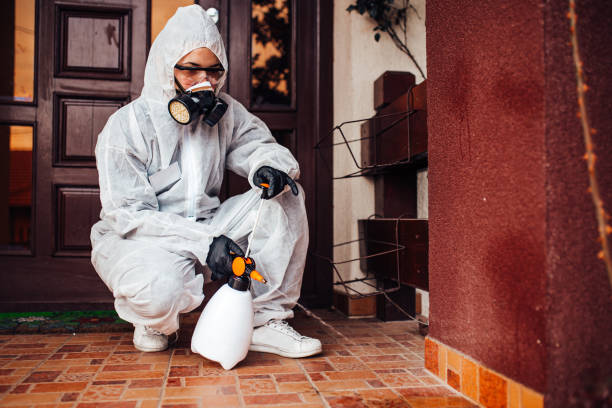 Reliable Cockroach Control contractor in Buckley, WA by Nex Pest Control